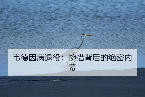 韦德因病退役：惋惜背后的绝密内幕